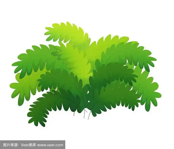 卡通自然元素灌木蕨在白色的背景