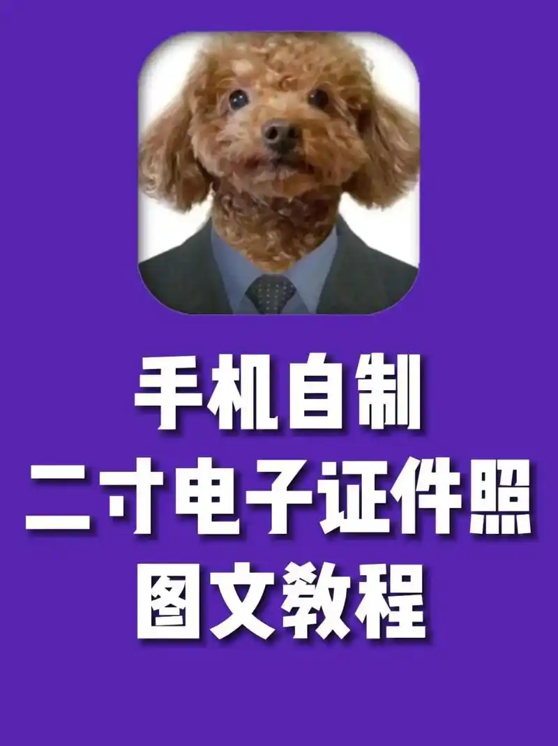 手机自制二寸电子证件照图文教程.#证件照 #手机制作证件照  - 抖音