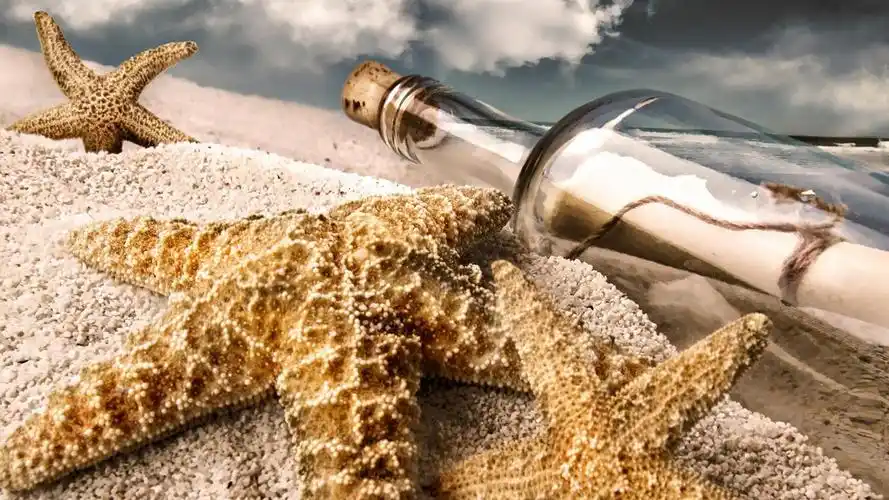 夏日里海边沙滩美景桌面壁纸二,风景壁纸,唯美,风景,沙滩,贝壳,海星