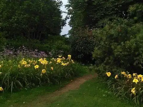 2021白鹤公园-旅游攻略-门票-地址-问答-游记点评,宁波旅游旅游景点