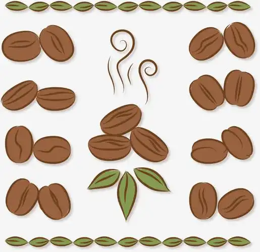 矢量,手绘,咖啡豆,卡通