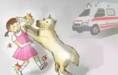 当心!又到猫狗狂躁咬人高发期,被伤破皮应及时接种狂犬疫苗-健康频道-