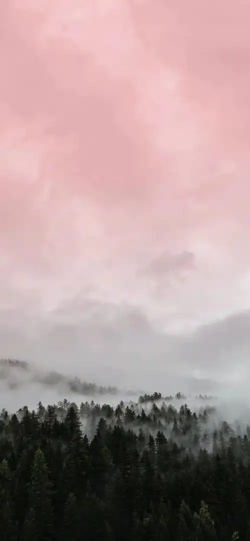 690_1493竖版 竖屏