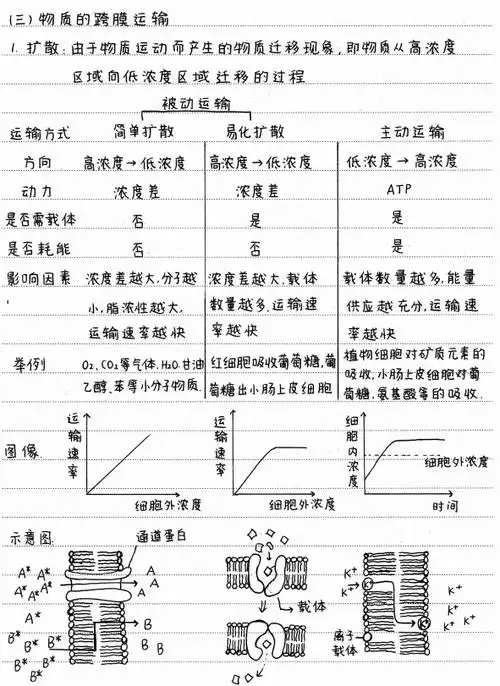 高考复习之物质的跨膜运输