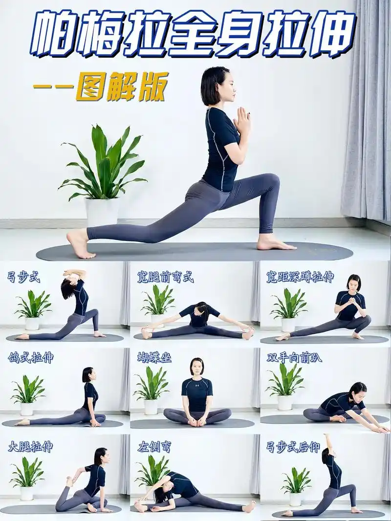 帕梅拉全身拉伸图解9094.