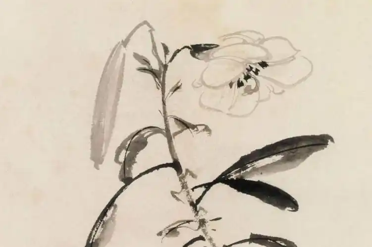 上海博物馆藏陈淳大写意花卉册页__财经头条