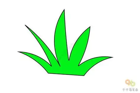 草简笔画草简笔画简单漂亮