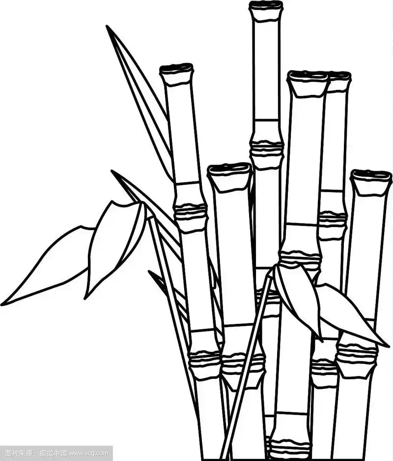 竹林集温泉自然植物与