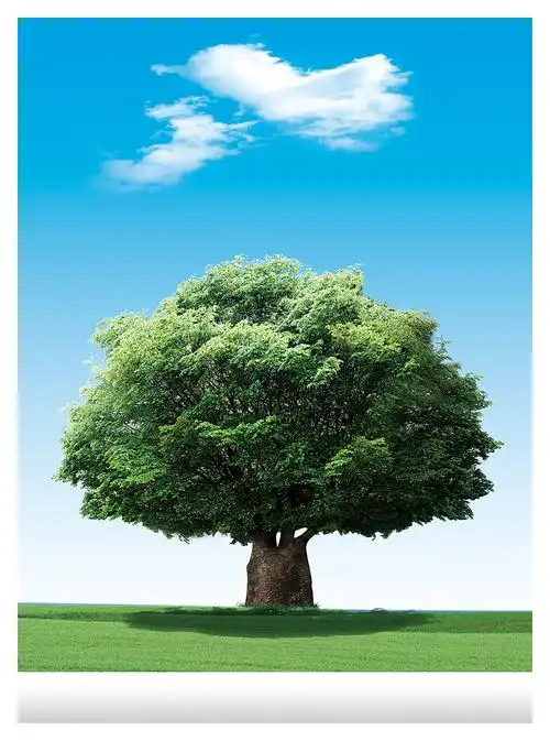 780_1050竖版 竖屏