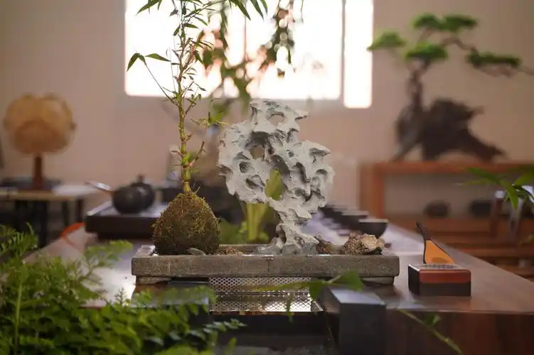 奇石摆件太湖石盆景造景鱼缸石头装饰沉水假山石水泥微景观小摆件