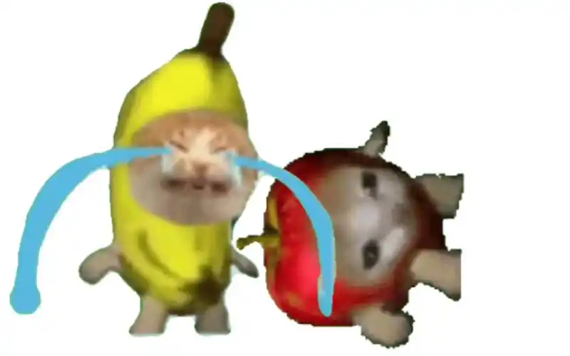 byd香蕉猫只会哭?