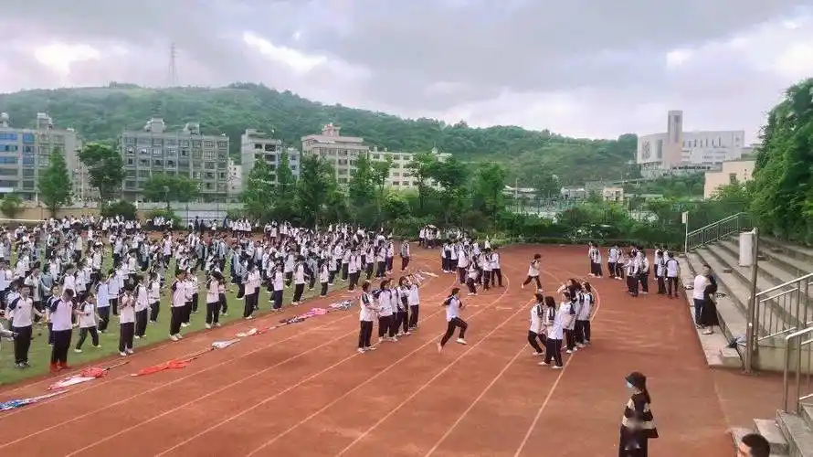 此外,大荆镇第四小学,磐石镇小学,北白象镇第四小学,虹桥镇第二小学