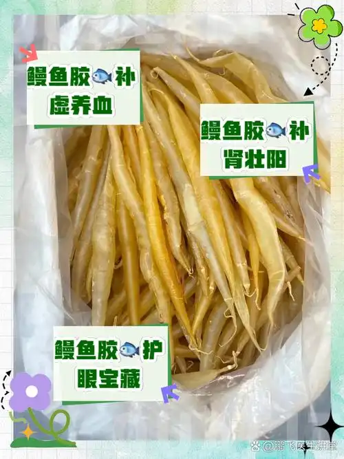 鳗鱼胶的营养价值及功效与作用