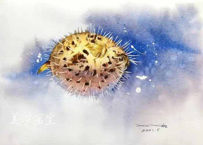 水彩步骤图河豚