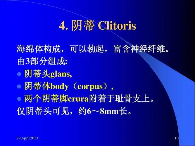 由3部分组成:   阴蒂头glans,   阴蒂体body(corpus),   两个阴蒂脚