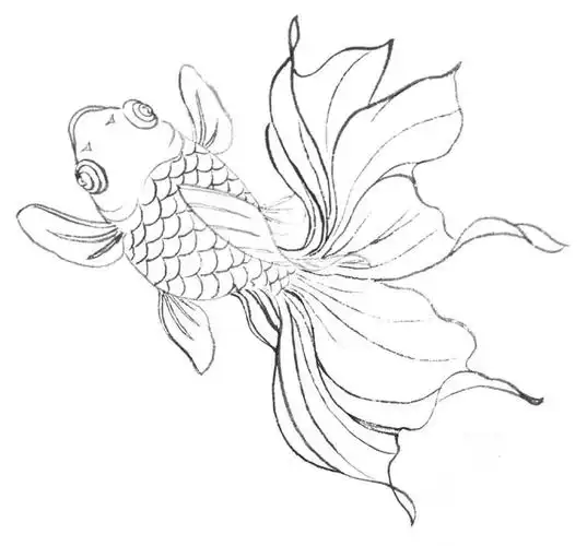 绘画知识工笔画金鱼