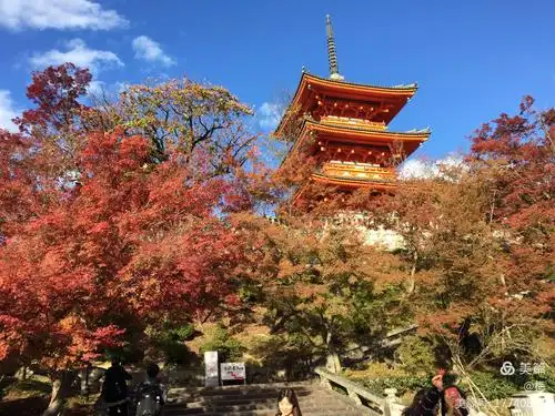 京都清水寺—-最古老的寺庙