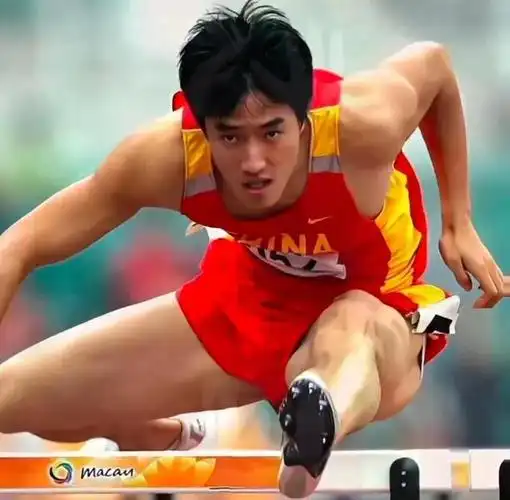 16个亚军,可以高清大说是介绍战绩头像辉煌,几乎无人能敌,刘翔图片