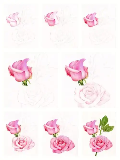 彩铅  #彩铅手绘  #彩铅入门  #彩铅教程  #彩铅花卉  #花卉  #花