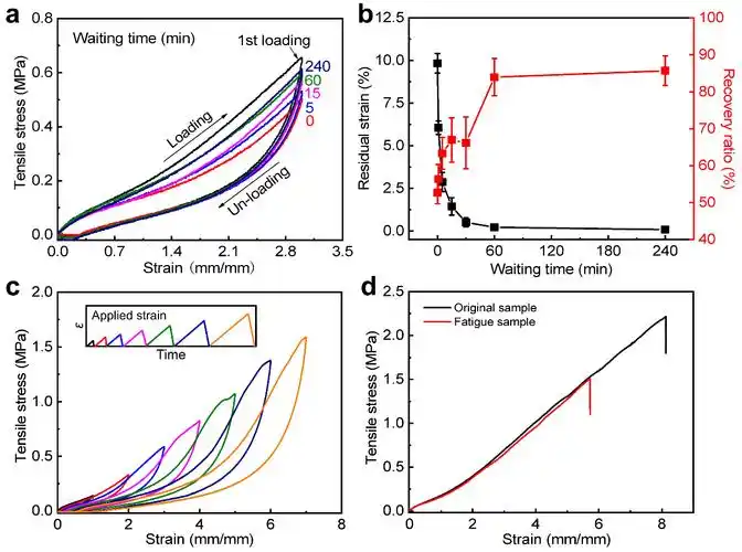 湖北工业大学黄以万李学锋afm利用离子键和金属配位键协同作用制备强
