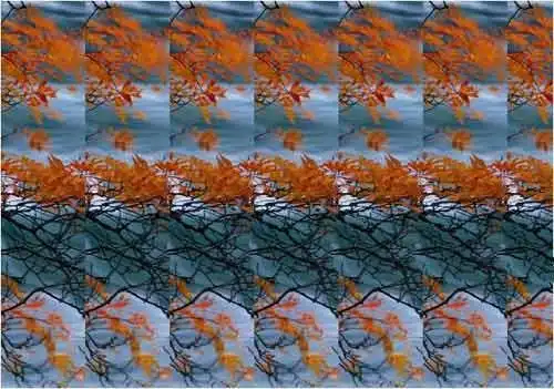 文化/艺术 书画美术同问 2011-03-25 22:49提问者:真是乖哦 我来帮他