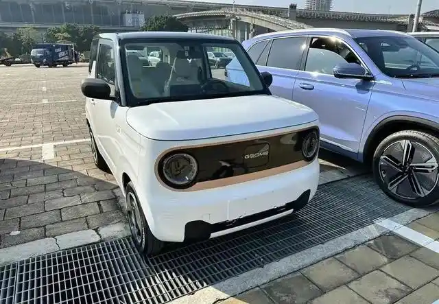 微型电动车新选择,吉利熊猫mini新春版亮相,将于月底发售