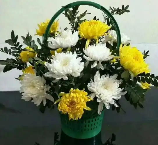 今天是清明节,99朵菊花献给逝去的亲人,愿你们安好!