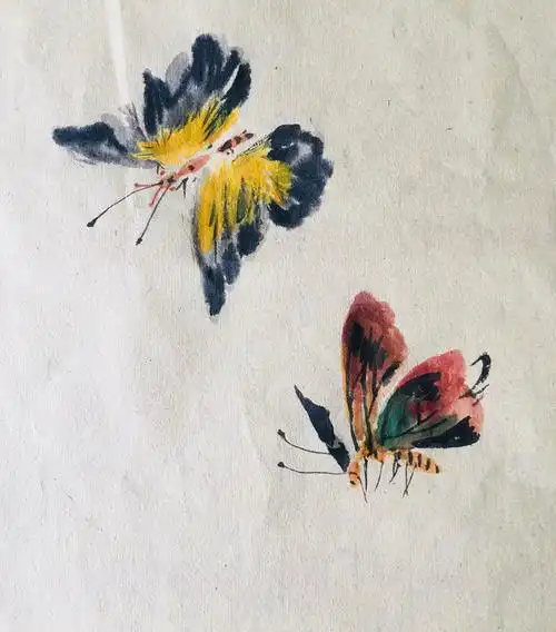 杨秀华国画网络课堂第十节《写意蝴蝶的画法》