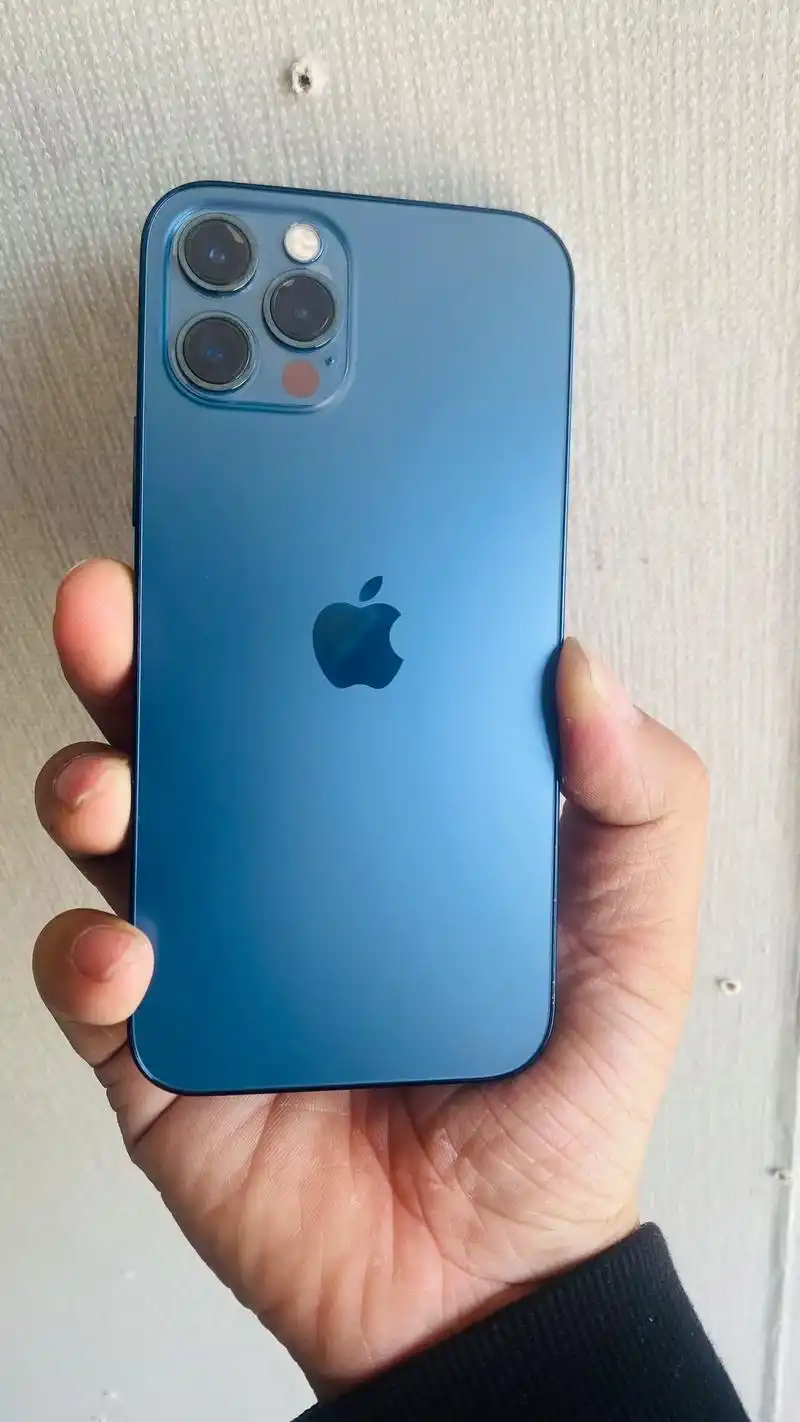 苹果12pro 128g 全原装机 259992 先到先 - 抖音