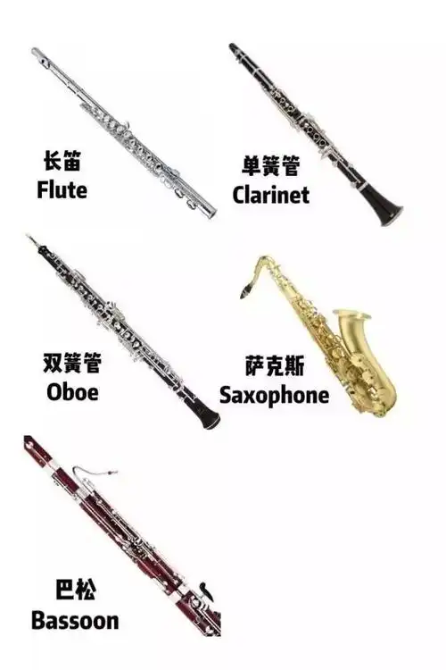 我们通过一个木管乐器来欣赏认识乐器.
