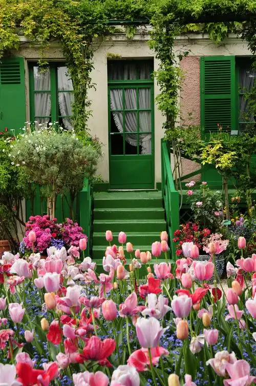 花房 建筑 花园 花房 莫奈故居 7mx年度摄影大奖赛—我的2017