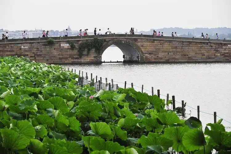 西湖断桥的来历,你真的了解吗?该如何游玩?建议收藏!