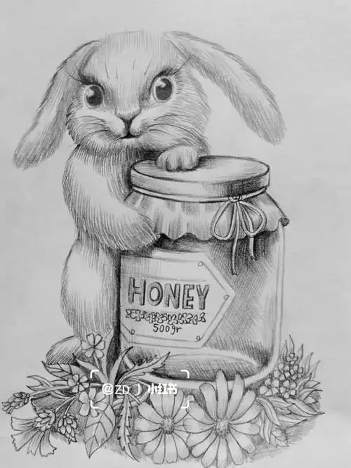 素描兔子