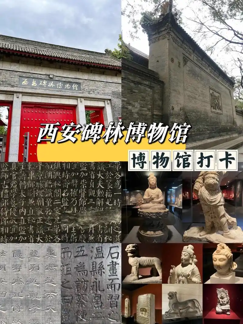西安旅游‖不能错过的碑林博物馆攻略.