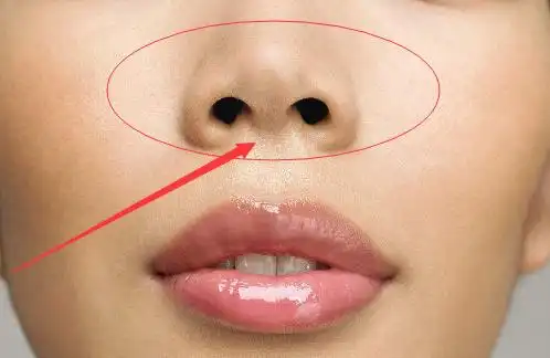 女人鼻孔外露面相分析,这是露财的表现_生辰八字算命网