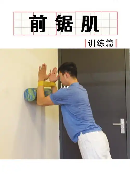 如何训练前锯肌