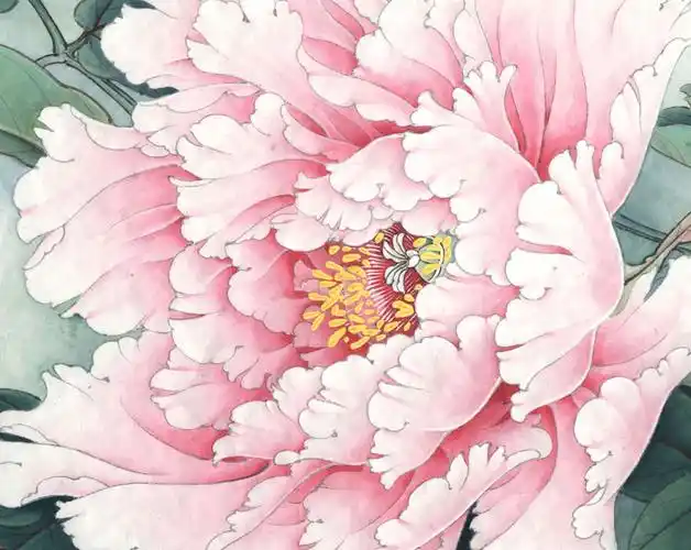 工笔牡丹画法赵粉步骤转李晓明