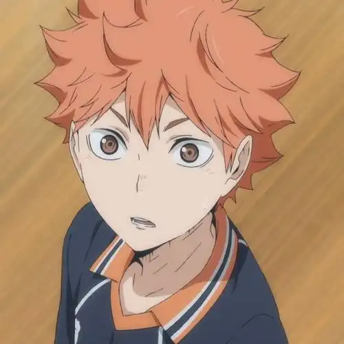 二传标明id 排球少年日向翔阳啊啊啊我永远喜欢他们!