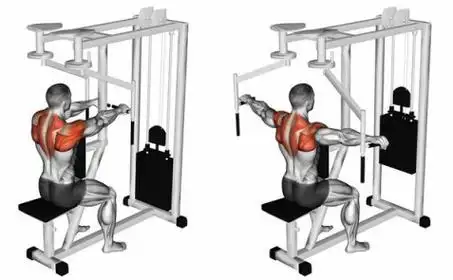 练三角肌后束训练没感觉怎么办