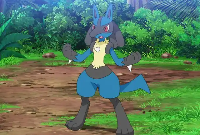 宝可梦路卡利欧虽然帅气但是对战中存在的问题太多了