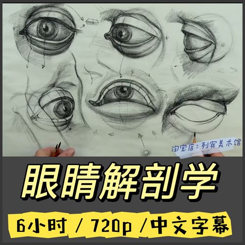 眼部解剖学素描课程中文美术视频教学