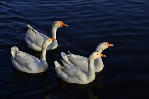 查看大图     曝光:   1/80 sec        光圈:   f14        快门