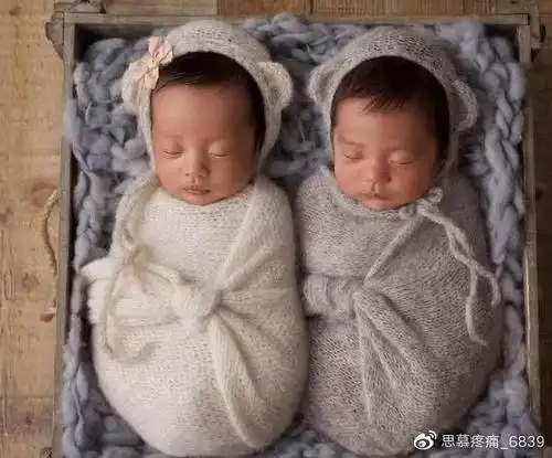 张杰与谢娜一家四口的甜蜜幸福图片