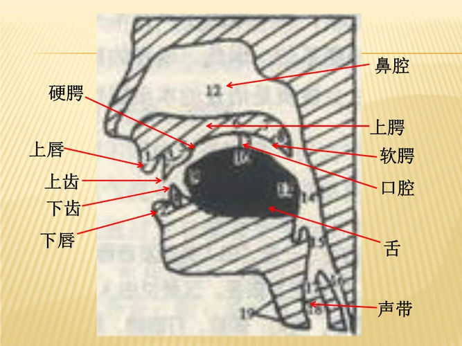 国际音标基础1.ppt