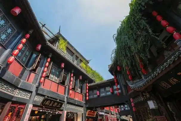 成都玉林迪士尼是什么梗网络时代的回响