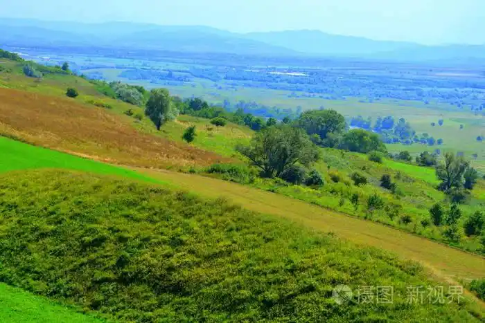 罗马尼亚特兰西瓦尼亚平原和森林的典型农村景观阳光明媚的仲夏的绿色