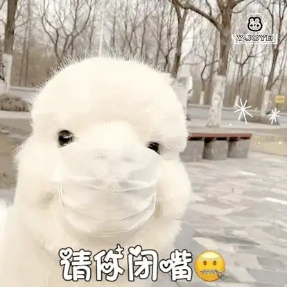 414_414gif 动态图 动图