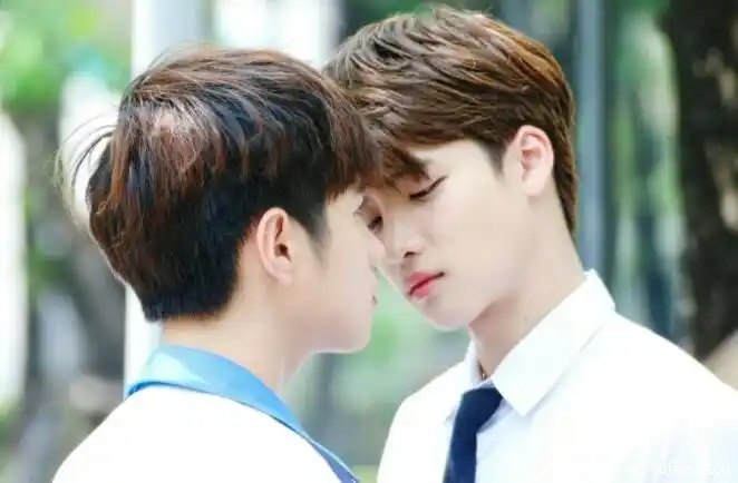 泰剧男男大尺推荐最火