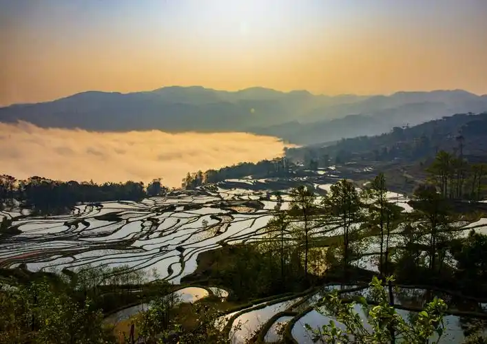 云南红河哈尼族彝族自治州 元阳梯田