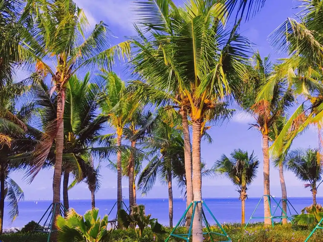 海棠湾 海棠湾位于海南省三亚市东北部,是三亚市的一个海湾.